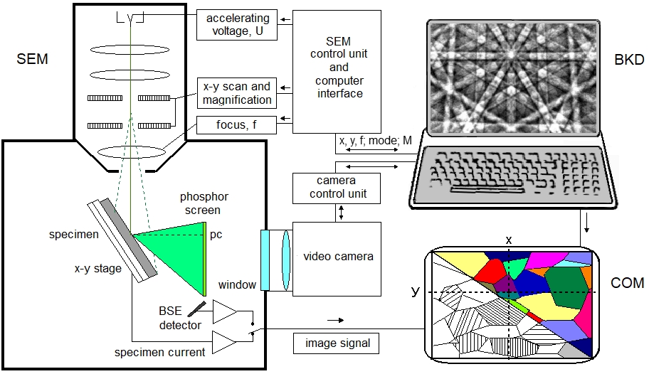 The automatic EBSD system ORKID